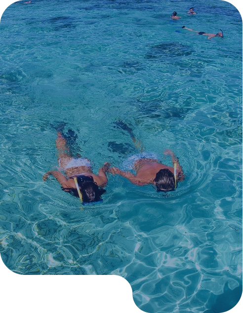 excursiones-card
