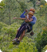 canopy