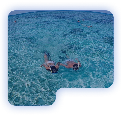 excursiones-mobile
