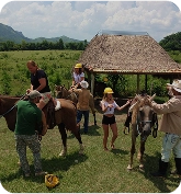 paseo-caballo